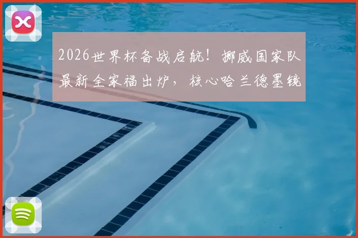 2026世界杯备战启航！挪威国家队最新全家福出炉，核心哈兰德墨镜造型气场全开